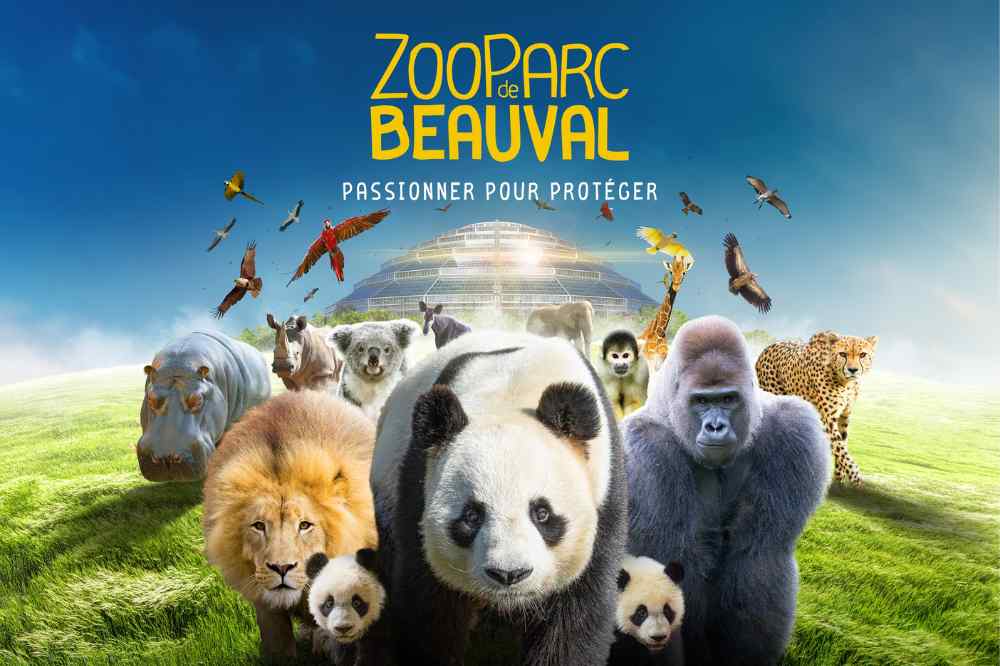 Le Zoo de Beauval